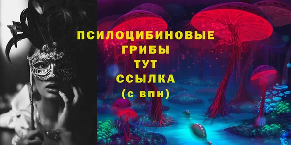 МДПВ Корсаков