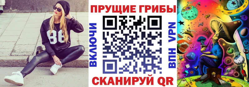 Псилоцибиновые грибы Psilocybine cubensis  Прокопьевск 