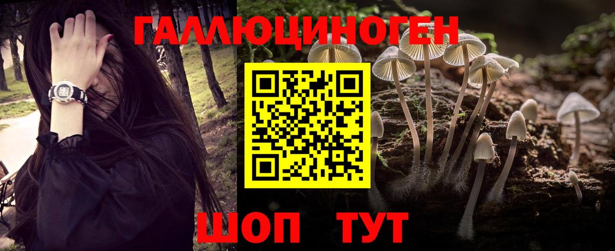 Прокопьевск  Псилоцибиновые грибы мухоморы  Псилоцибиновые грибы мицелий  Вход с VPN 