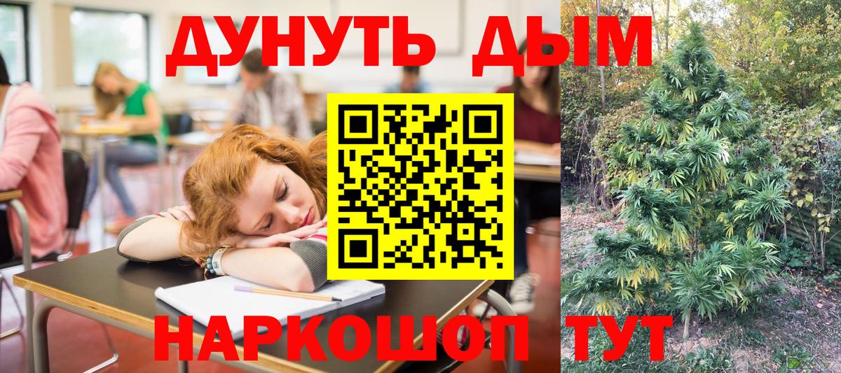 Бошки Шишки гибрид  Канабис тримм  Прокопьевск  Бошки Шишки план  Вход с VPN 